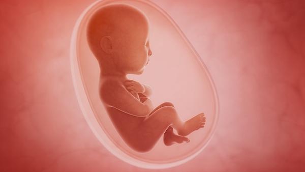 胎儿不动是怎么回事？ 可能是这个原因引起