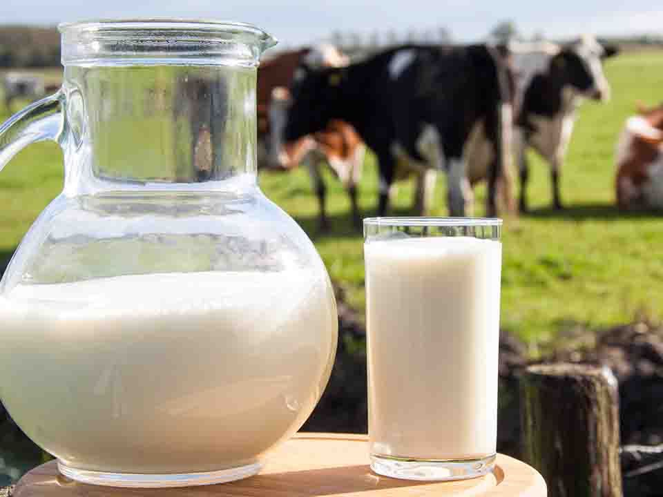 长期喝牛奶会不会对身体有副作用?
