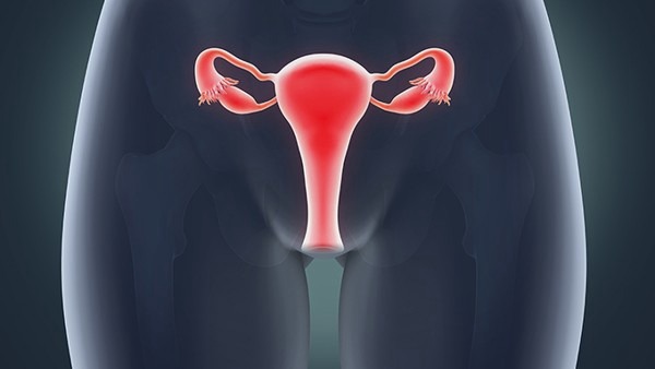 常见卵巢肿瘤有哪些？ 常见卵巢肿瘤你都了解吗？