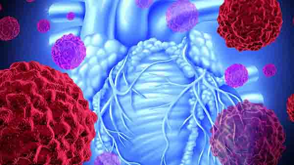 不同时期的梅毒有什么症状