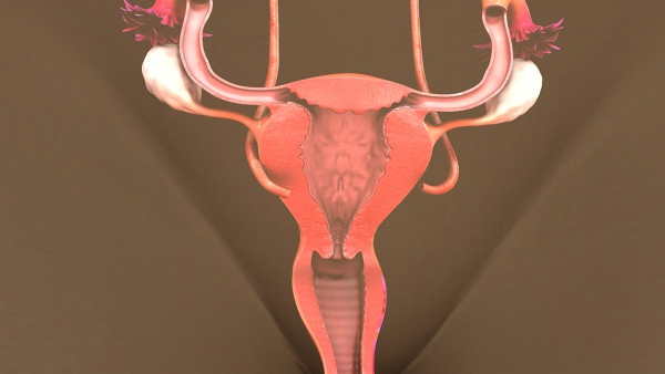 做什么检查能查卵巢癌