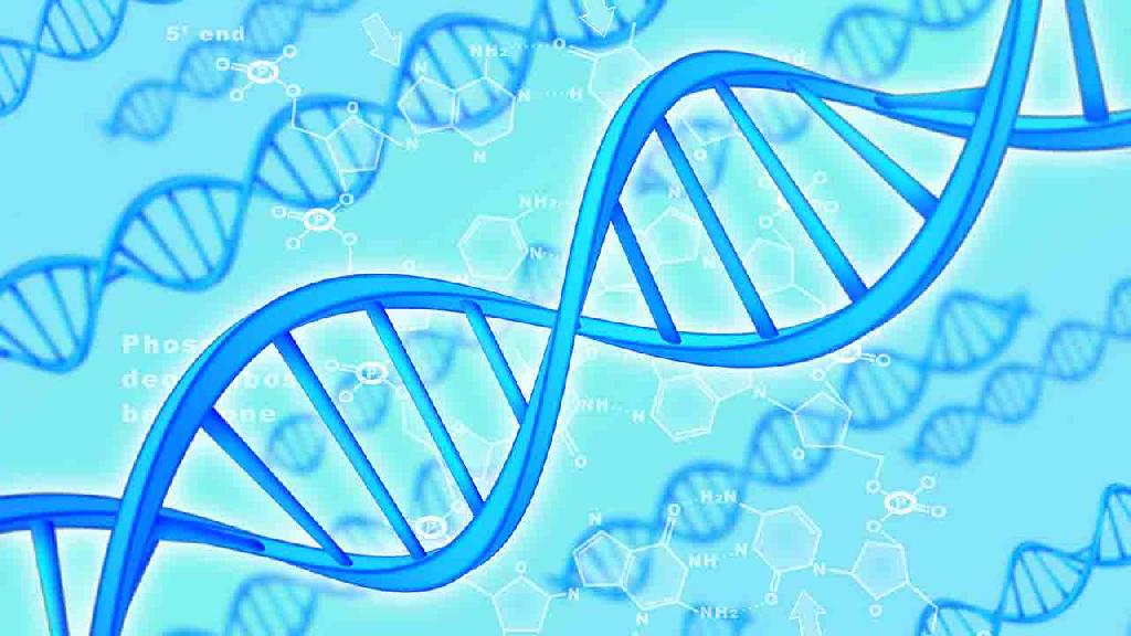 马蓉提交子女身份证据 DNA亲子鉴定有多准确