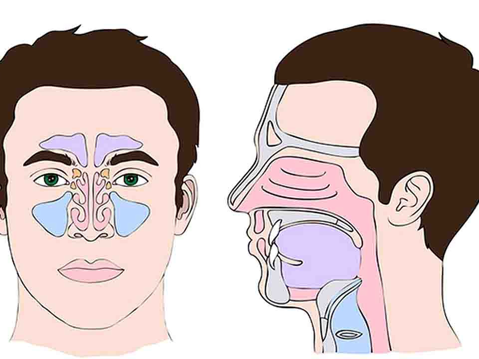 鼻中隔偏曲的中医治疗方法是什么呢
