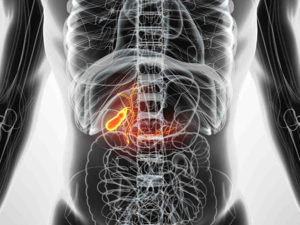 脂肪肝的症状表现有哪些呢