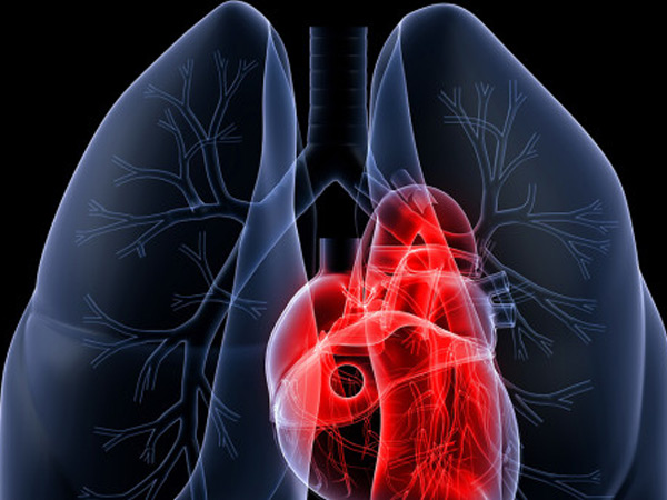 慢阻肺心率升高的原因