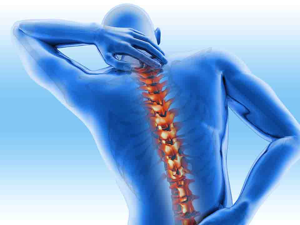 得脊柱畸形能做的运动是怎样的
