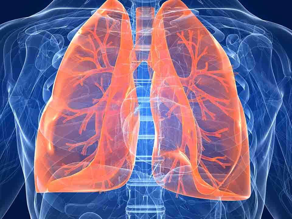 什么是双肺间质性改变