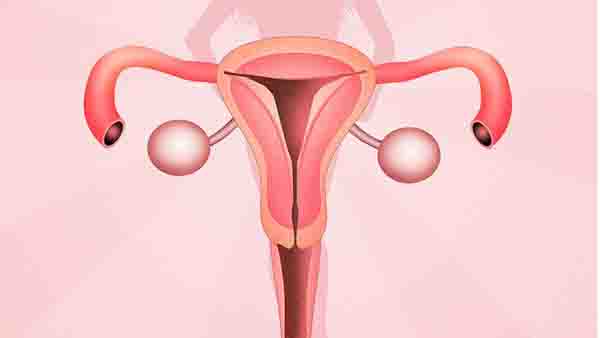 输卵管不通是否会影响女性的正常排卵？