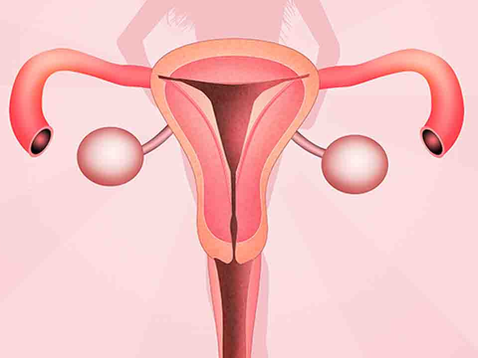得了子宫癌对身体有什么影响