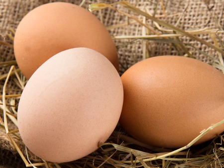鸡蛋吃多会？引发心脑血管疾病