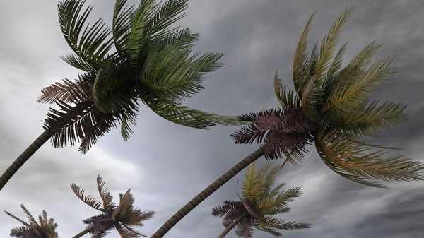 台风“莫拉菲”将移入南海，中等强度冷空气影响华北等地