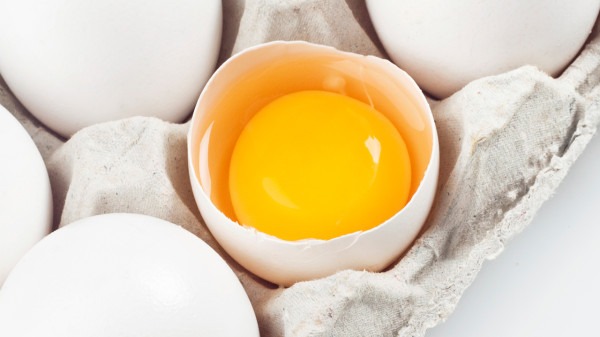 蛋白好还是蛋黄好？孩子一天能吃几个鸡蛋？