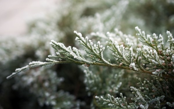 小雪节气：健康养生5常识