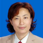 陈放文