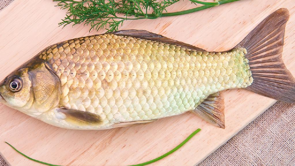 肾衰竭可以吃什么鱼？可以吃鱼的