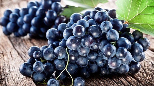 肾衰竭能吃葡萄吗,肾衰竭怎么进行饮食护理