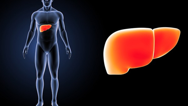 脂肪肝有囊肿会传染吗 脂肪肝有囊肿的病因有2点