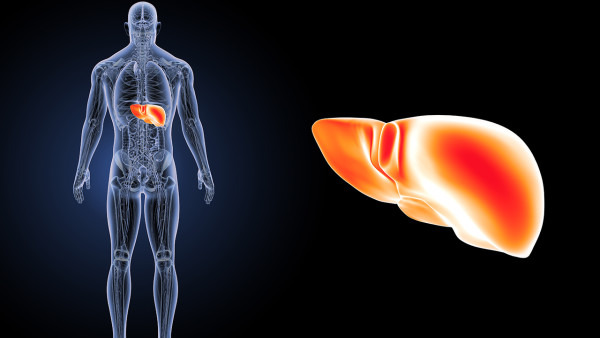 脂肪肝囊肿有什么影响 脂肪肝可能引发3种疾病