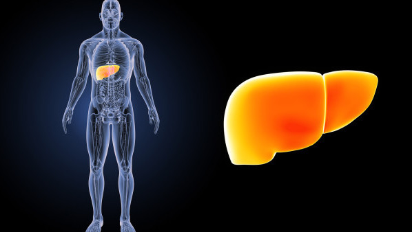 肝腹水的症状都有哪些 治疗肝腹水的方法