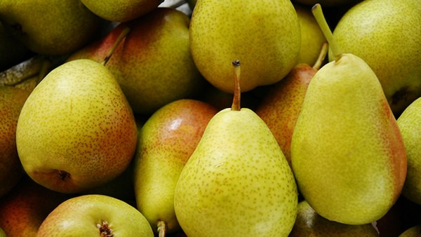 哮喘病人吃什么水果好？含蛋白质少的水果