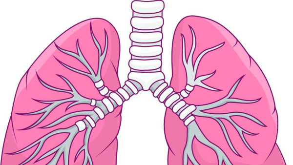 冠狀病毒肺炎和普通感冒的區(qū)別是什么？了解一下吧