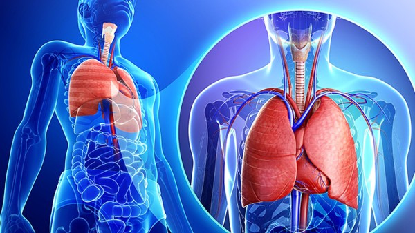 新型肺炎是什么原因，新型肺炎可以被治疗好吗？