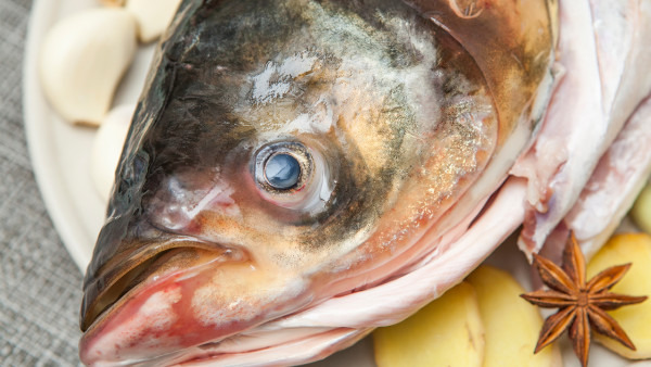 支气管炎可以吃鱼吗？最好不要吃