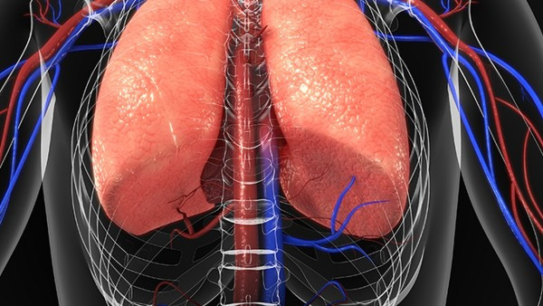 血常规能检查出肺结核吗 肺结核常见的检查方法都有哪些
