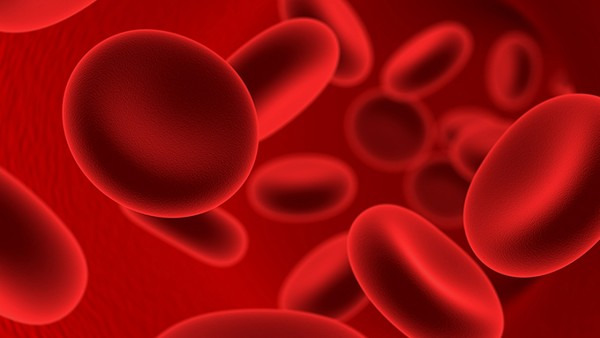 怎么预防血友病 血友病有哪些危害