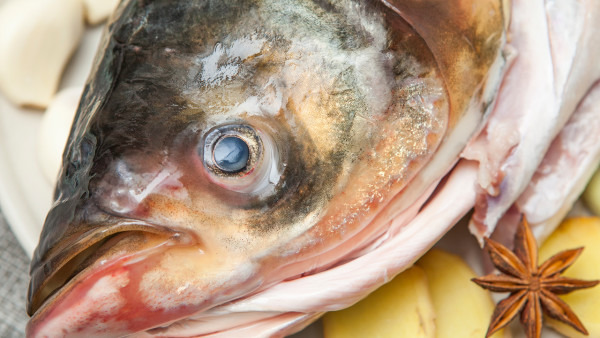 糜烂胃炎能吃鱼吗？可以适量摄入