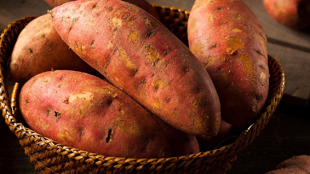 慢性胃炎可以吃番薯吗？但不宜多吃
