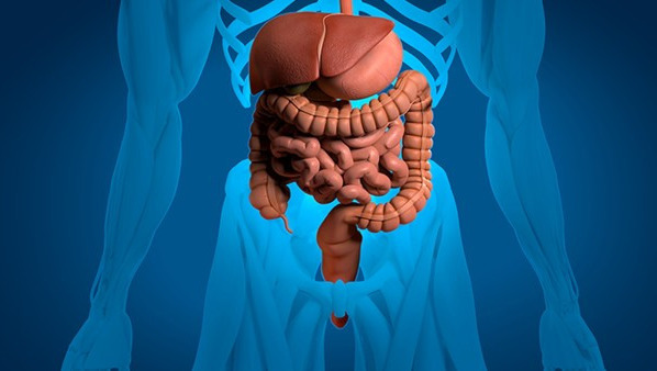 慢性肠炎是什么原因引起的？3种常见因素