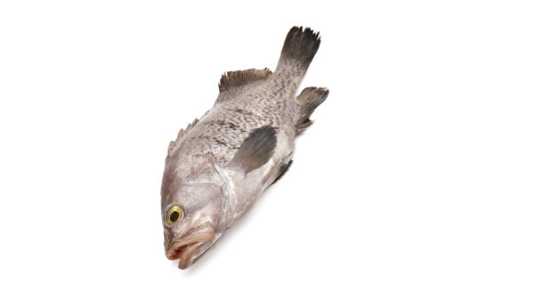 胰腺炎吃什么鱼好？没有特殊的限制