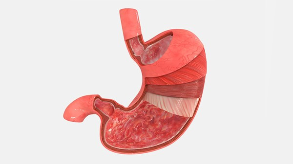 轻度胃出血的症状表现都有哪些 患有胃出血需要注意哪些事项