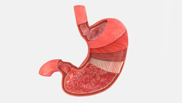 胃窦炎怎么治 治疗胃窦炎的常用方法都有哪些
