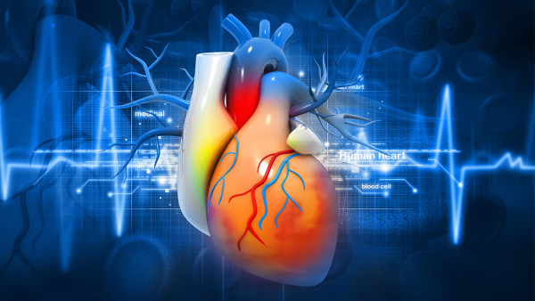 冠状动脉肌桥的发病原因是什么 主要症状有什么