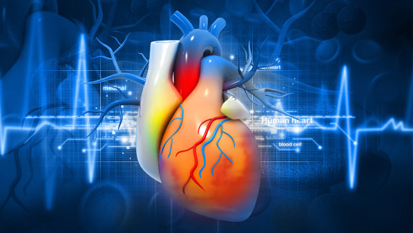 怎么预防冠心病