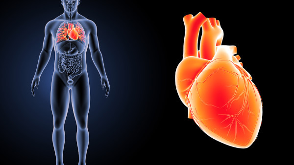 心脏病的症状有什么 心脏病的5个症状
