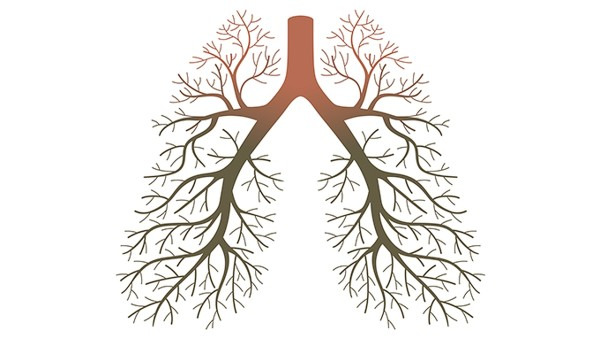 肺心病吃什么药效果好 肺心病该如何预防并发症