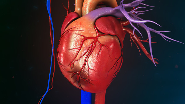 心梗的症状都有哪些 患有心梗该如何进行治疗