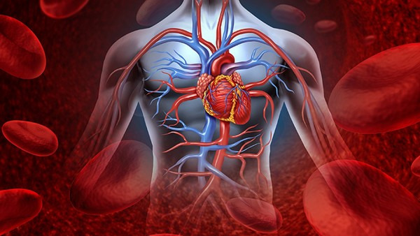 心肌梗塞会复发吗 预防心肌梗塞复发的方法都有哪些