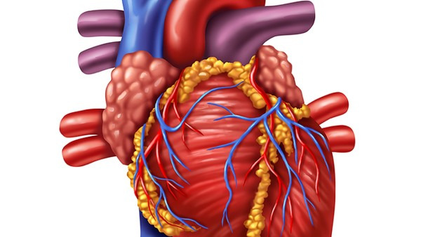 前間壁心肌梗死危險嗎 前間壁心肌梗死和高血壓有關係嗎-心肌梗死概況