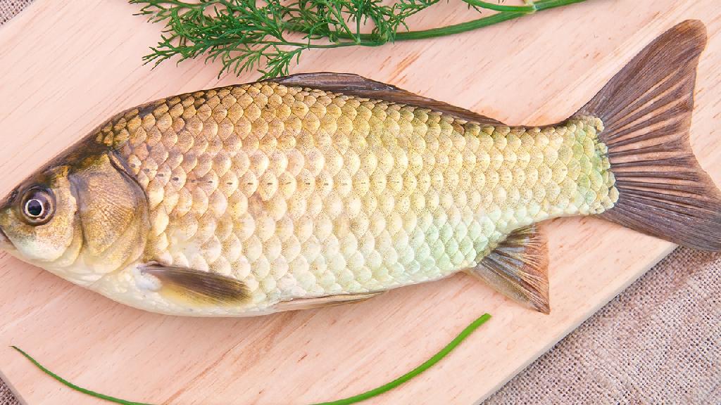 痛風能吃魚嗎？是否含有高嘌呤
