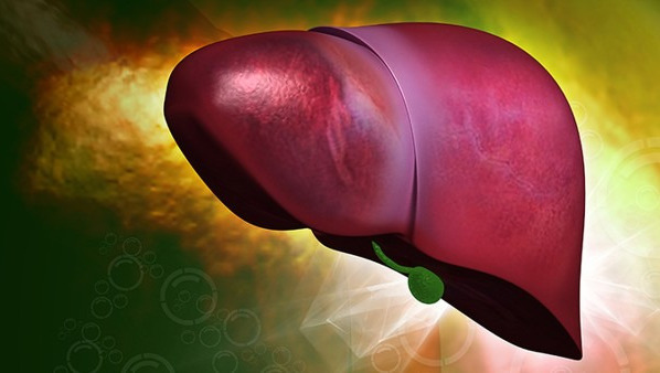肝癌可以治好吗？这两种方式可以进行治疗