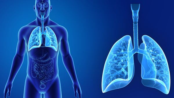 小细胞肺癌化疗的副作用有哪些？这些副作用需要注意