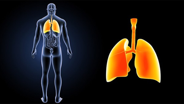 什么是小细胞肺癌？一种恶性肿瘤