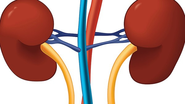 肾柱肥大和肾癌如何区别 肾柱肥大和肾癌的危害都有哪些