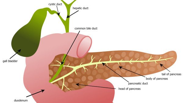 胆管癌晚期症状有什么？有3种症状