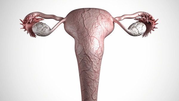 什么是卵巢癌 预防卵巢癌的3个方法