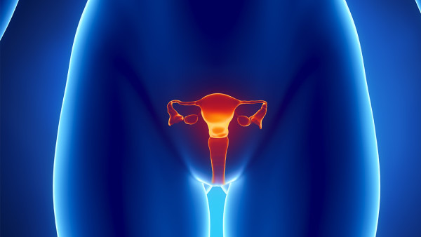 子宫内膜癌的B超表现是什么？